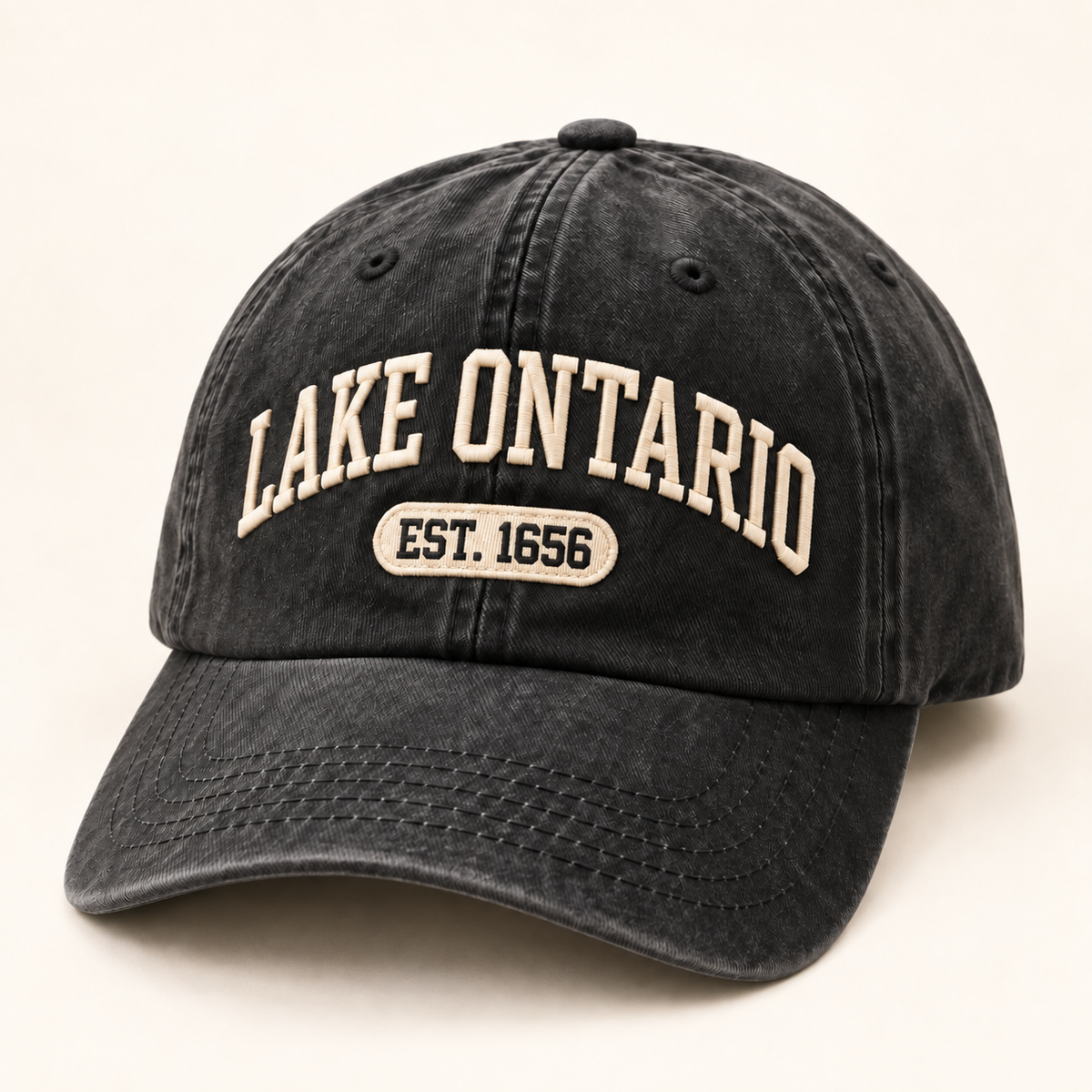 Lake Ontario EST. 1656 Vintage Embroidered Cap — Washed Black — front view